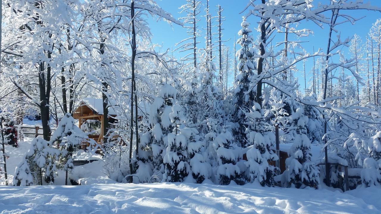Willa Gusia, Apartamenty Zakopane Bagian luar foto