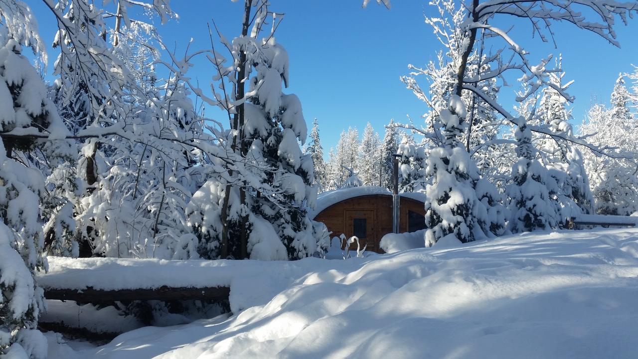 Willa Gusia, Apartamenty Zakopane Bagian luar foto